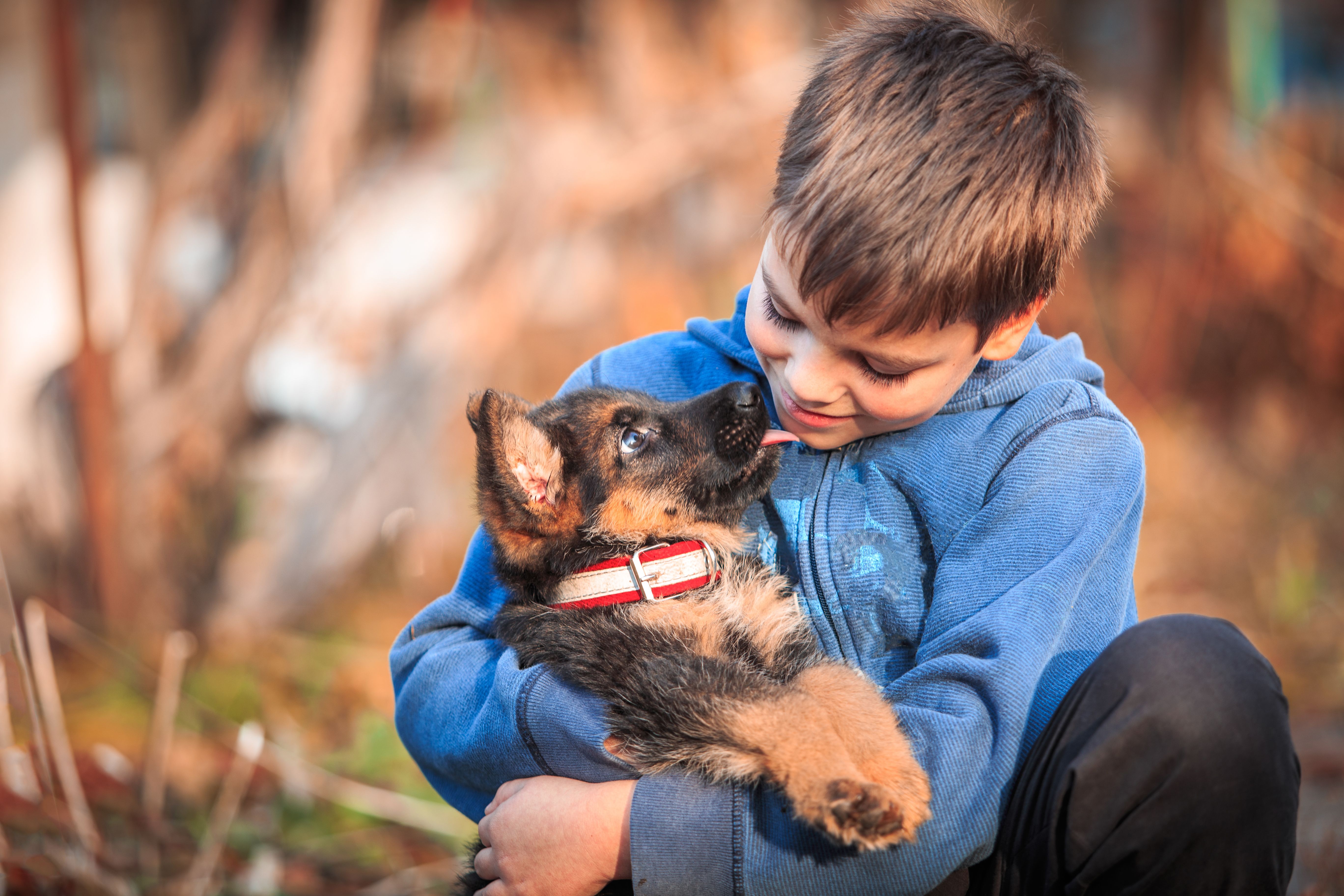 Discover Your New Best Friend at ASPCA