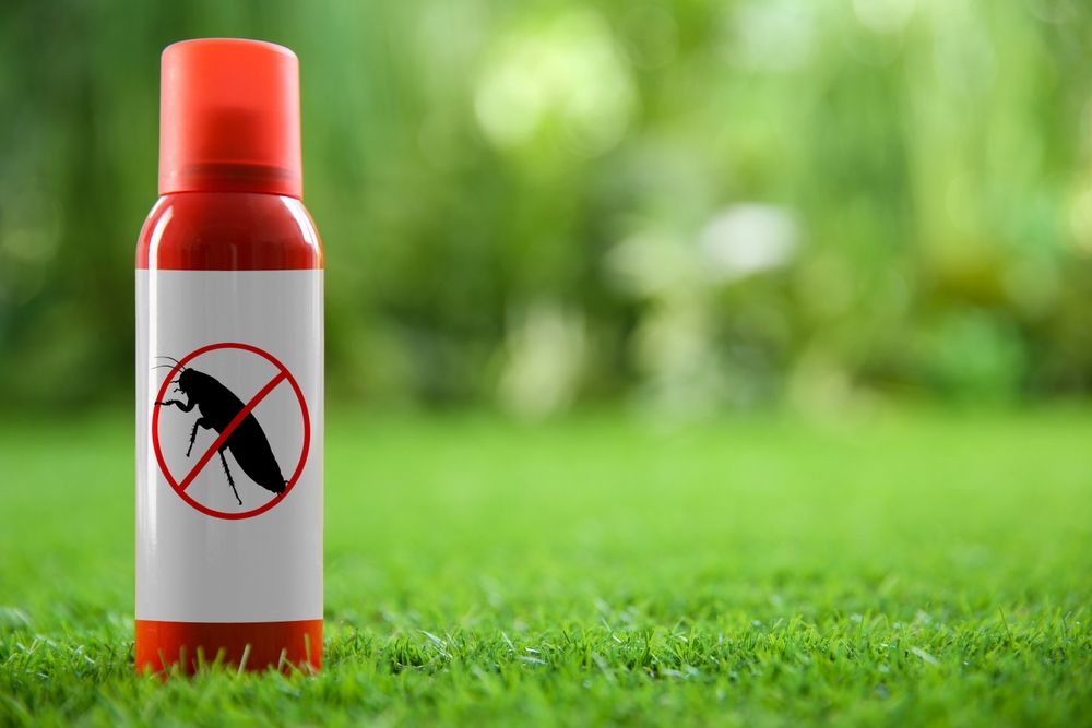 Natural Ways to Eliminate Cockroaches Safely and Quickly