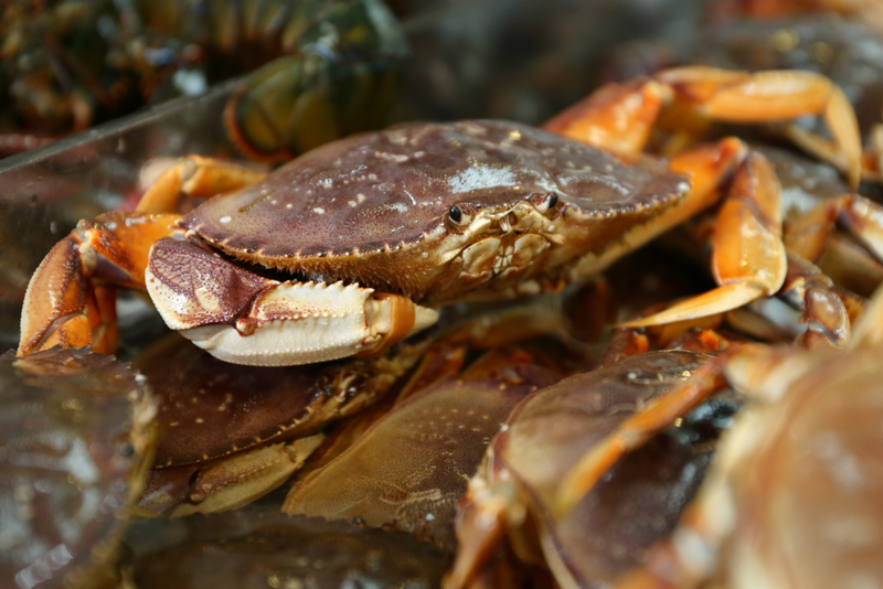 Season Of The Crabs | Getty Images Photo by Maxvis
