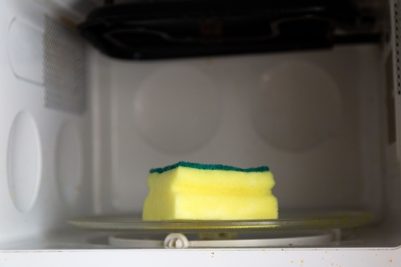 The Fastest Way to Sterilize Your Sponge | Alamy Stock Photo