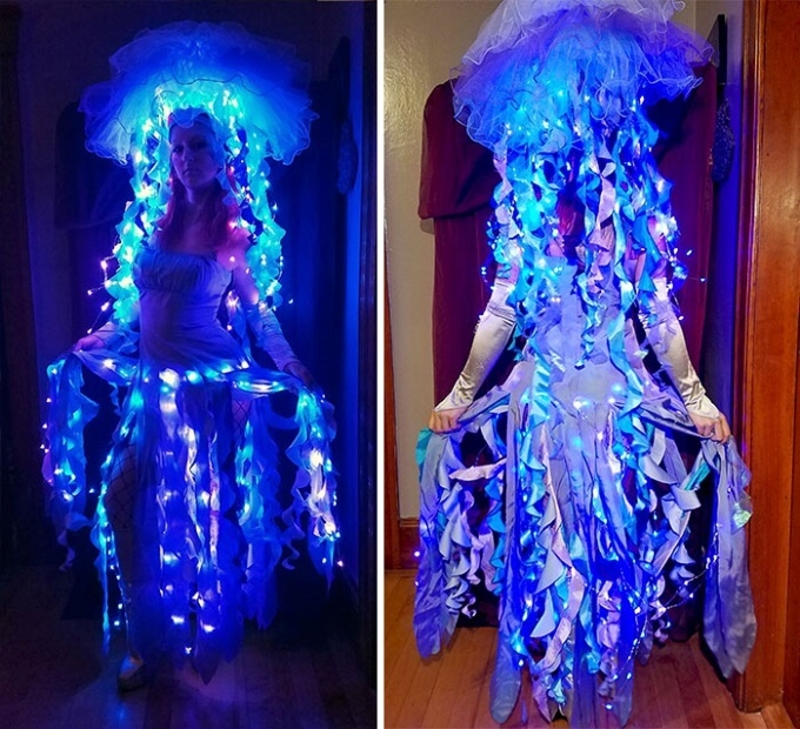 The Most Beautiful Glowing Jellyfish in the World | Reddit.com/SashaTheFireGypsy