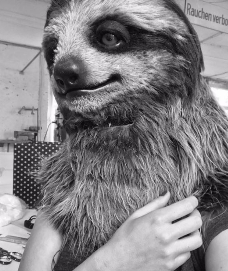 Feeling Sloth-like? | Instagram/@karolinehinz