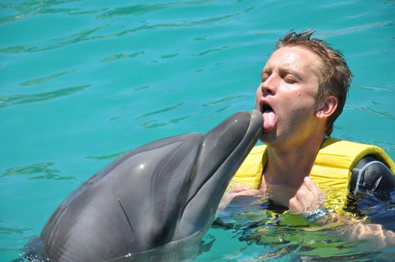 Kissing Dolphins | Imgur.com/1AxNK