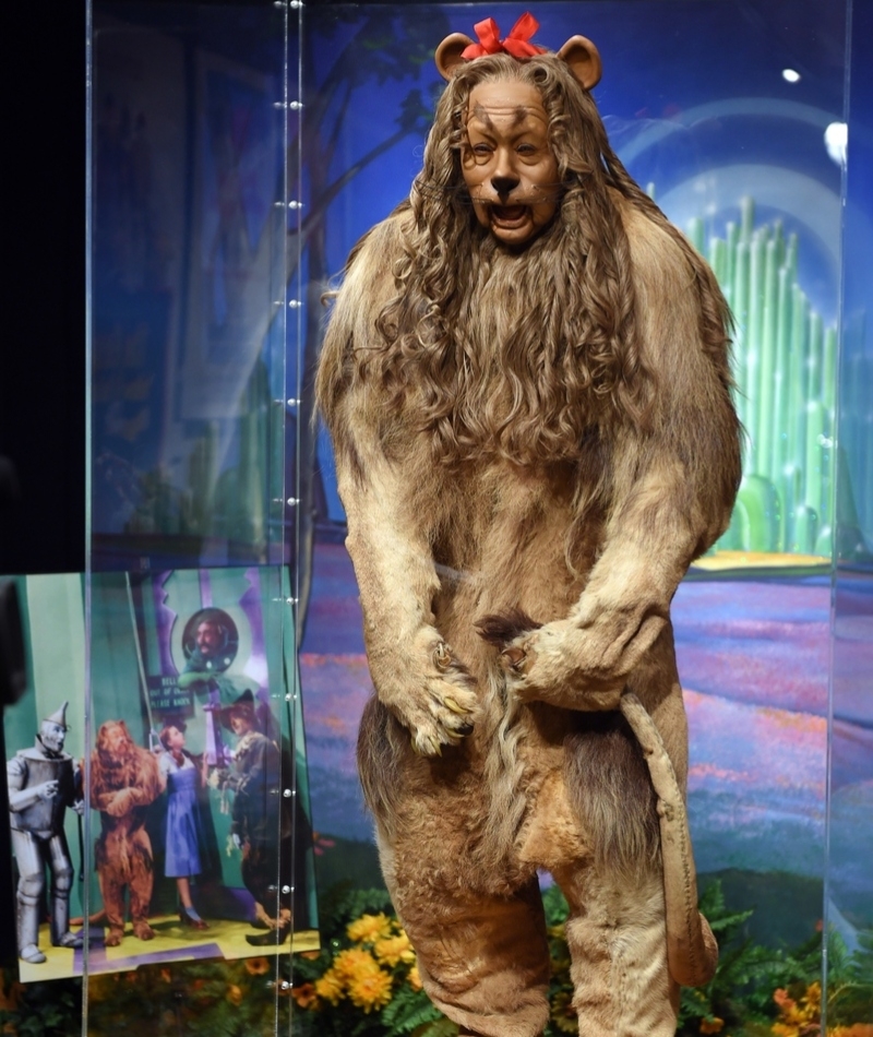 Cowardly Lion Costume | Getty Images Photo by DON EMMERT/AFP PHOTO