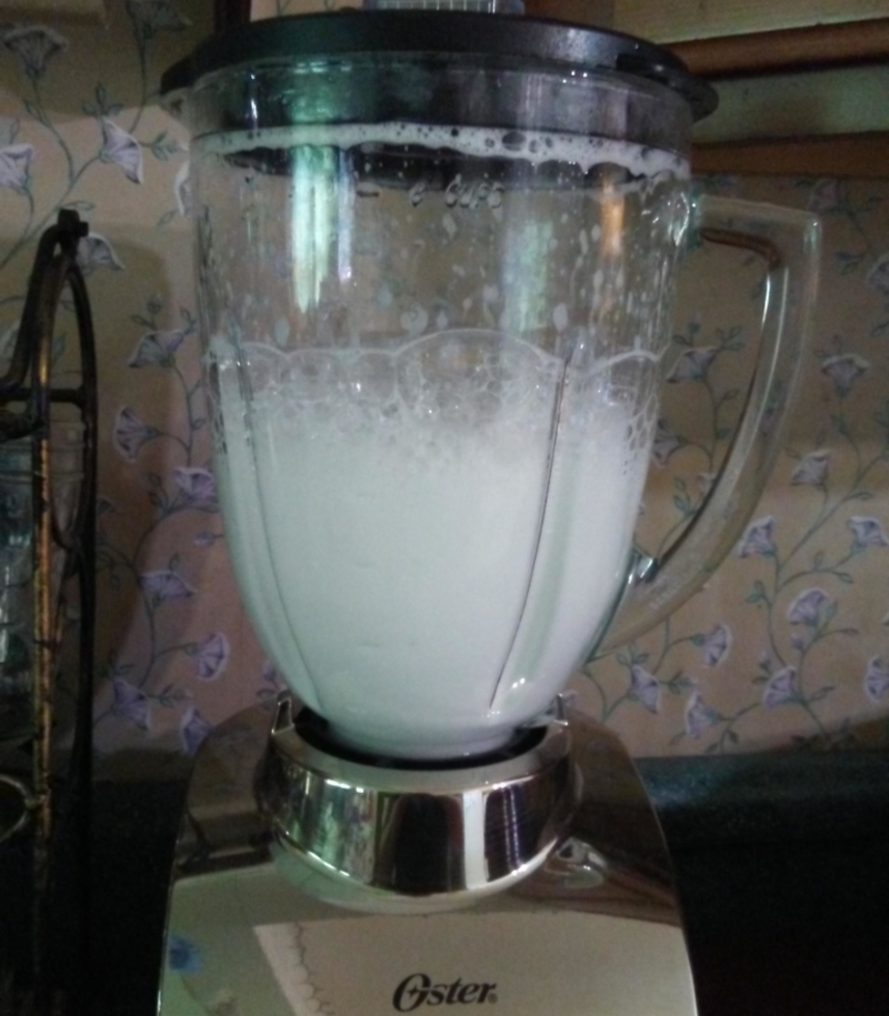 Throw Dishwashing Liquid into Your Blender | imgur.com/r/LifeHacks/T7cQb2m