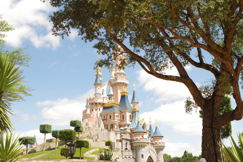 Fantasy: Disney World, USA | Shutterstock