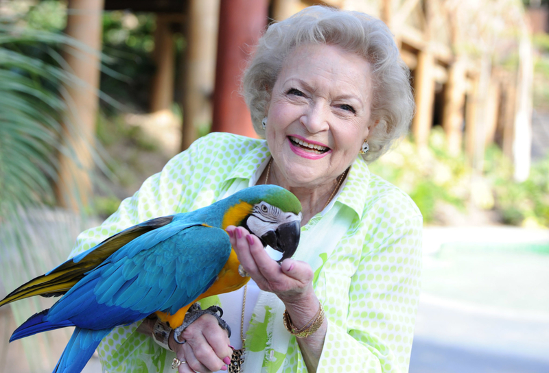 Betty Also Advocated for Animals | Getty Images Photo by Angela Weiss