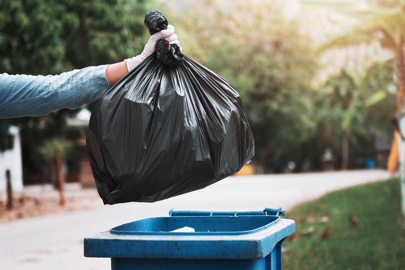Freshen Up That Garbage | lovelyday12/Shutterstock