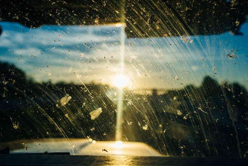 Goodbye Windshield Bugs! | Brester Irina/Shutterstock