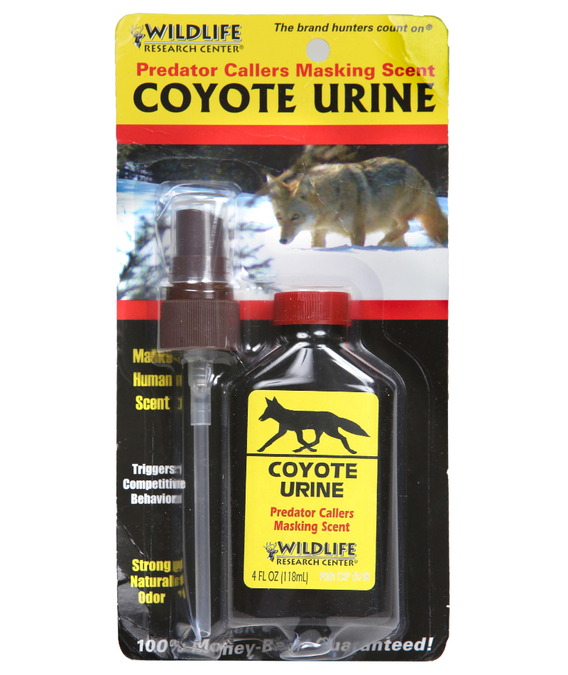 Coyote Urine | Alamy Stock Photo by Bob Eighmie/Miami Herald/Tribune Content Agency LLC/McClatchy-Tribune