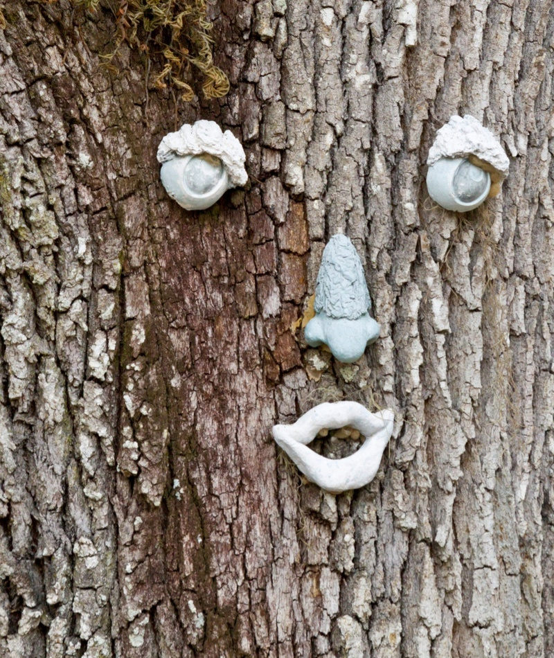 Oakley Tree Face | Alamy Stock Photo by RSBPhoto
