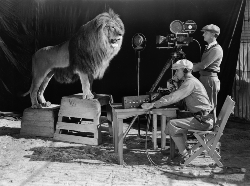 The MGM Lion | Getty Images Photo by John Kobal Foundation