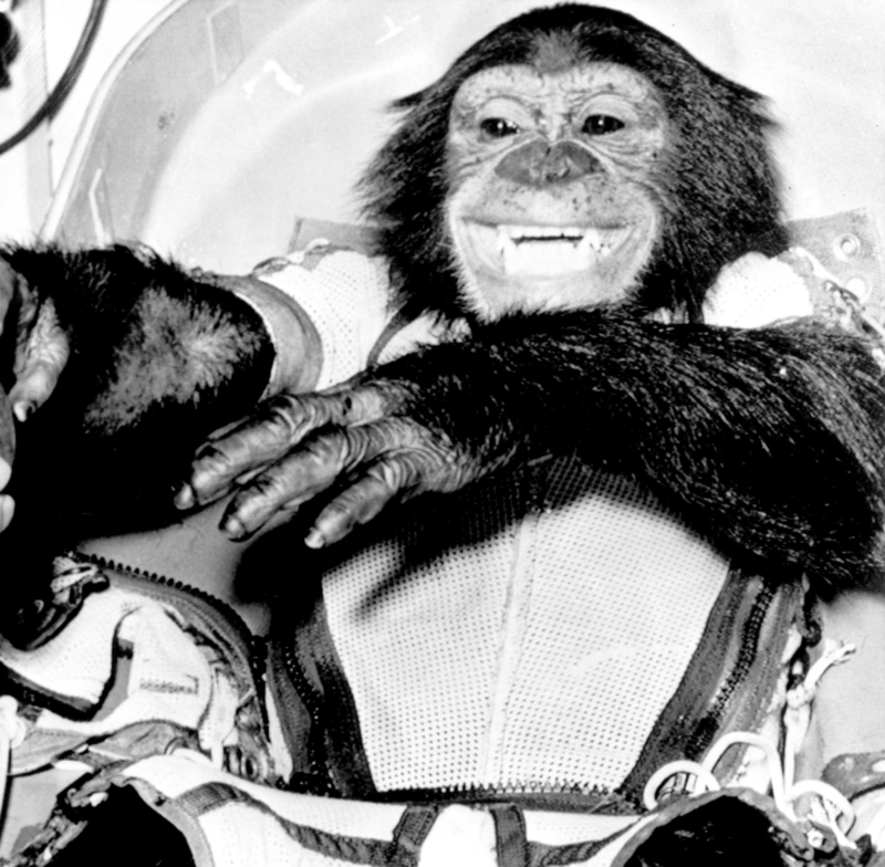 Ham the Chimp | Getty Images Photo by HUM Images/Universal Images Group