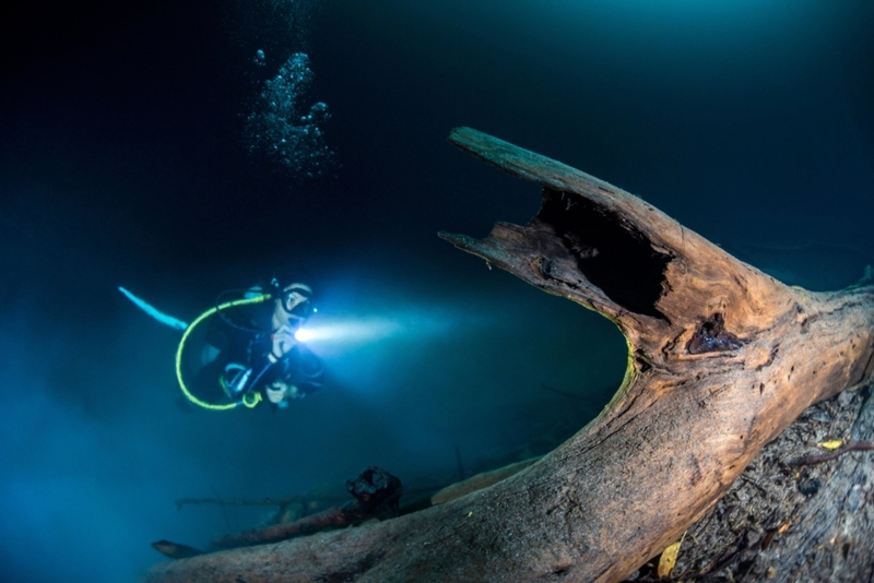 The Cenote Angelita ‘Underwater River’ | Alamy Stock Photo by Nick Polanszky