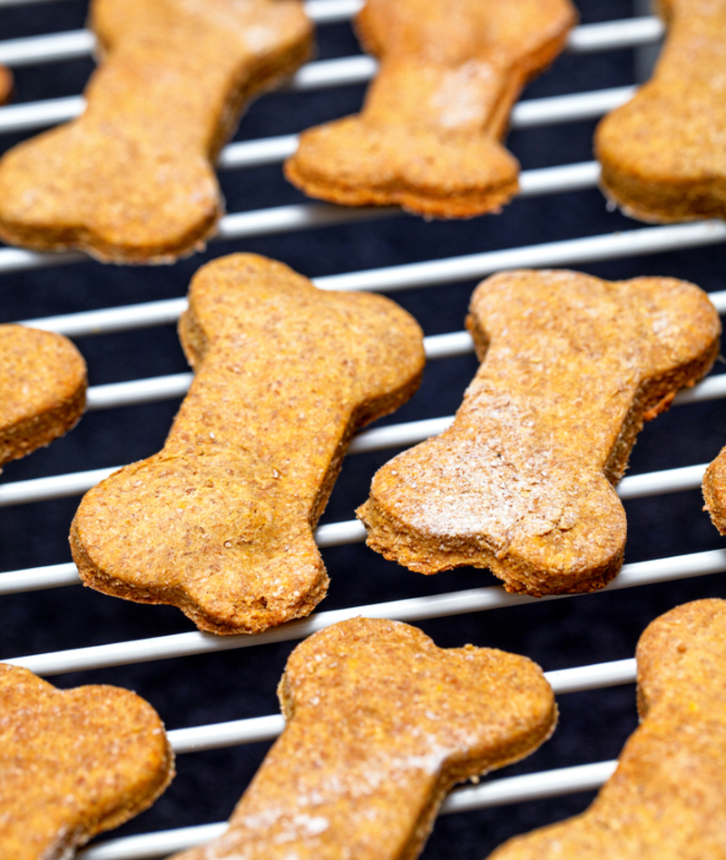 Make Your Own Dog Treats | Shutterstock Photo by GoodFocused