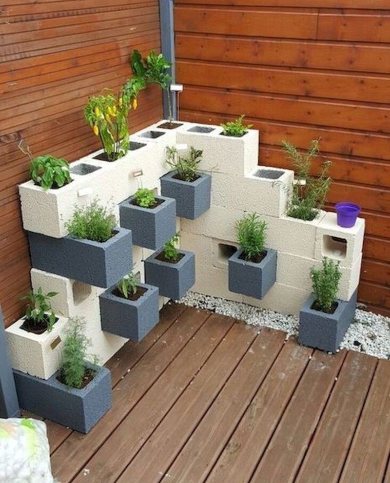 Dale espacio a tus plantas | Imgur.com/patrickeltondk