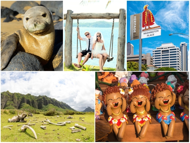 The Paradise of the Pacific: Fun Facts About Hawaii | Alamy Stock Photo by Stelios Michael & Olga Khoroshunova & giuseppe masci & James Smith & Suwat Sirivutcharungchit