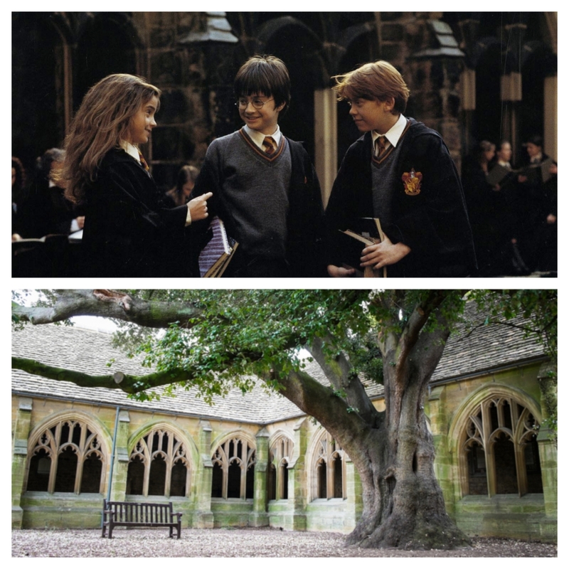 Harry Potter | MovieStillsDB & Shutterstock