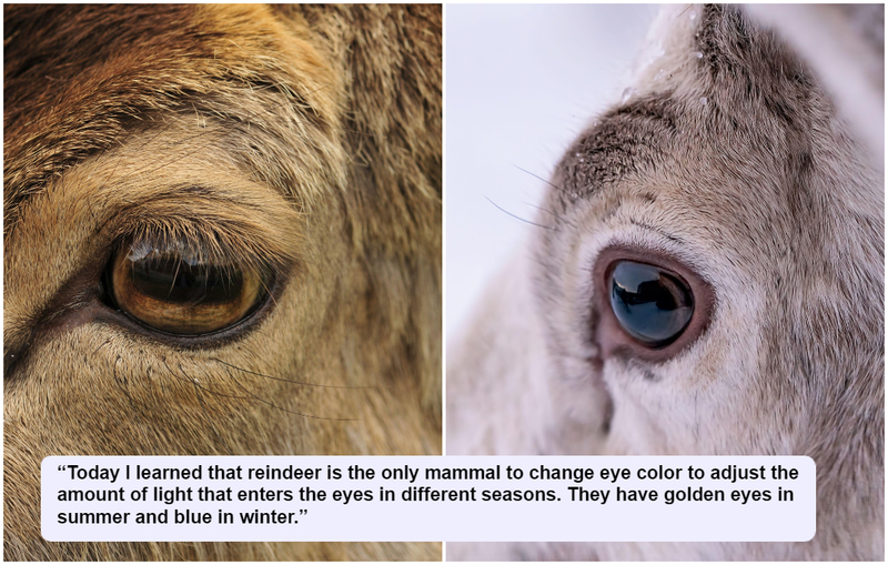 ¿De dónde han sacado esos ojos? | Alamy Stock Photo