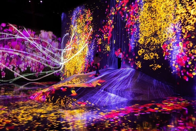 Check Out the TeamLab Borderless Museum | Shutterstock