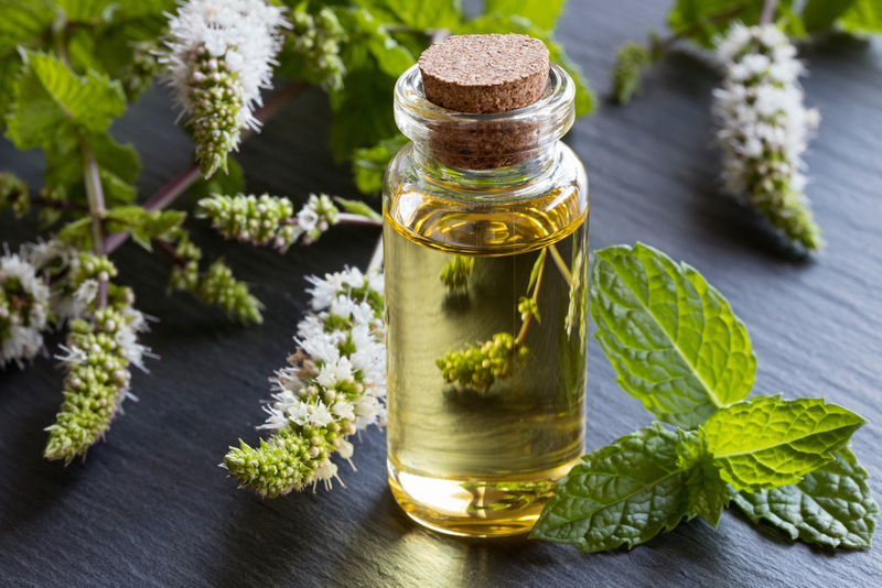 Combine Vinegar With Essential Oils | Shutterstock Photo by Madeleine Steinbach