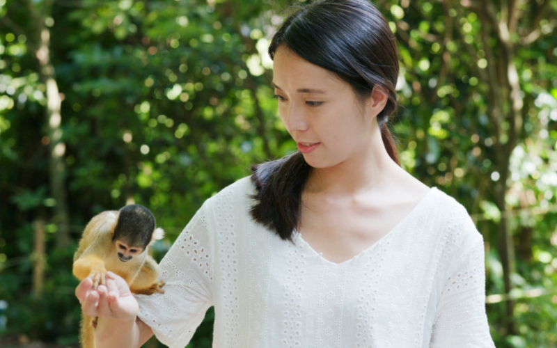 Squirrel Monkeys | Shutterstock Photo by leungchopan