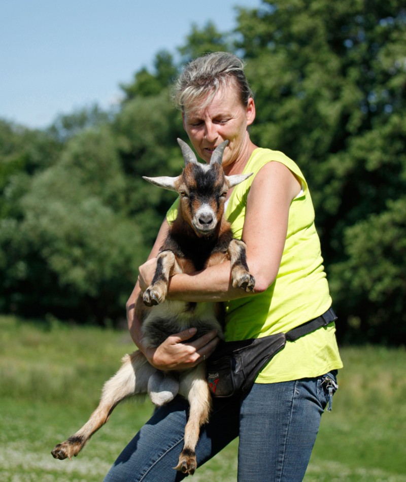 Pygmy Goats | Alamy Stock Photo by Tierfotoagentur/R. Richter