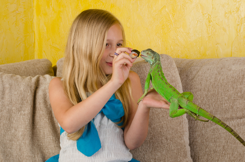Green Iguanas | Shutterstock Photo by Siarhei Kasilau
