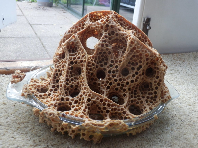 A Bowl of Bees | Imgur.com/Crabcaked