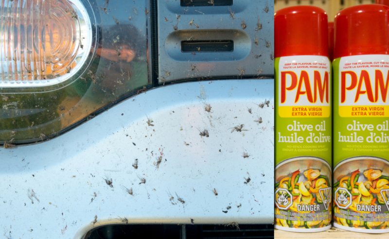 Utilisez du Spray de Cuisson Pam pour Retirer les Insectes sur le Pare-Chocs | Shutterstock
