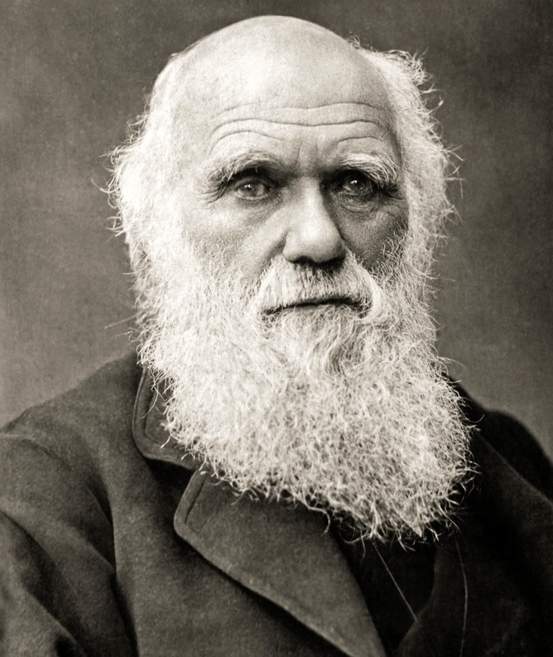 Charles Darwin | Alamy Stock Photo