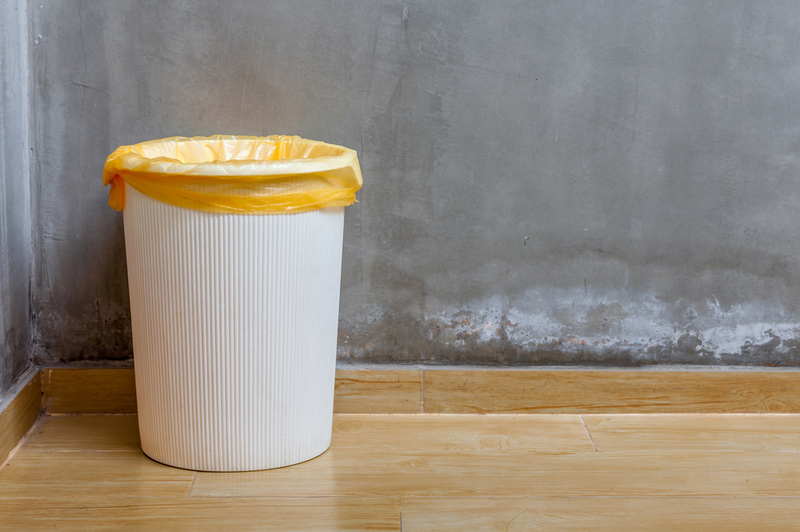 Garbage Can or Wastebasket | mrcmos/Shutterstock