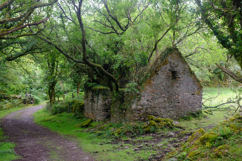 Cabaña abandonada en el camino de Kerry Way, entre Sneem y Kenmare, Irlanda | Shutterstock