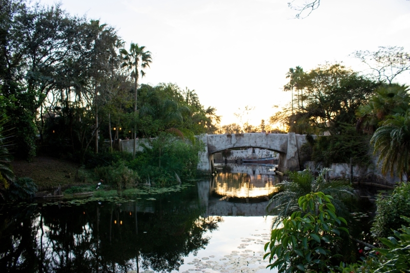 Disney’s Discovery Island, Lago Buena Vista, Florida | Alamy Stock Photo by Rustycanuck