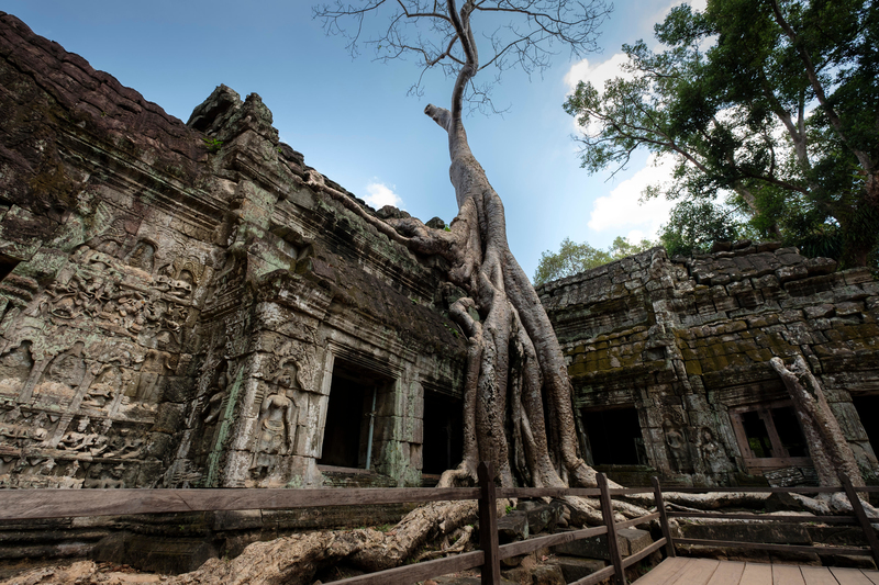 El templo de Ta Prohm en Camboya | Alamy Stock Photo by Sergio Azenha