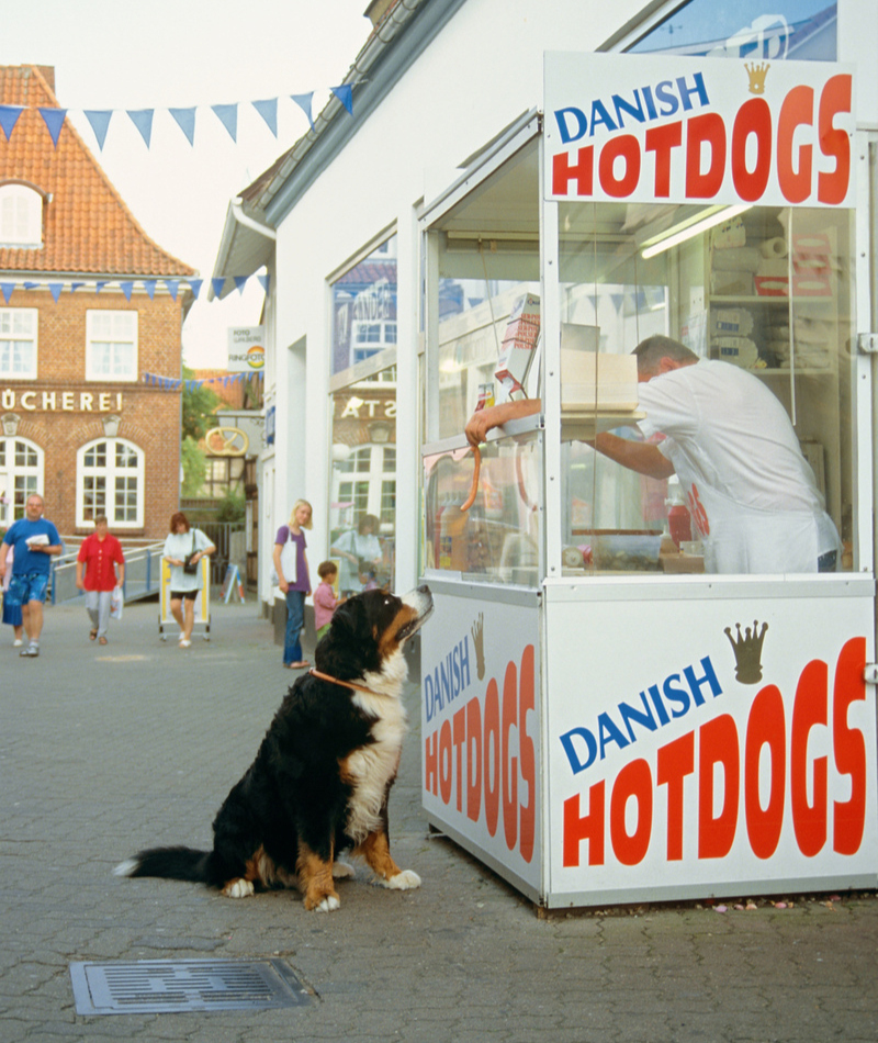 Der echte Hot Dog | Alamy Stock Photo