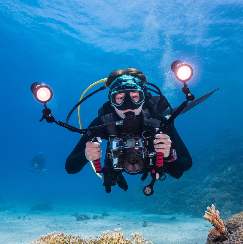 Marine Mysteries | Shutterstock