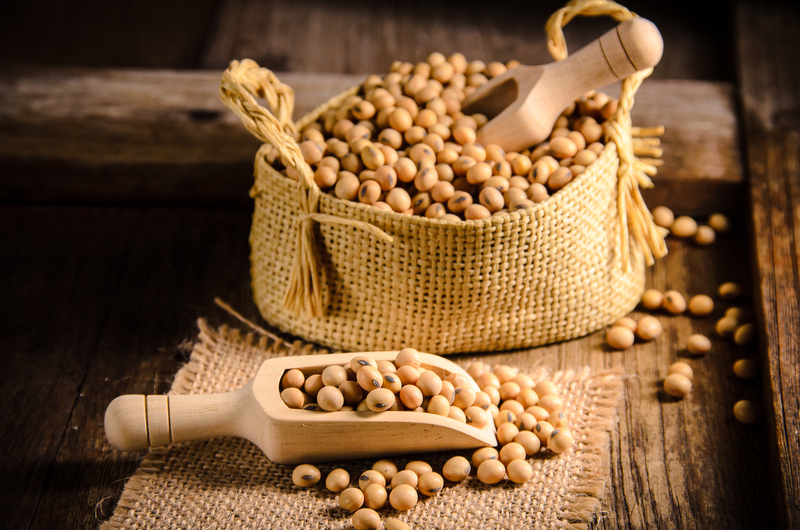 Soy Beans | Shutterstock