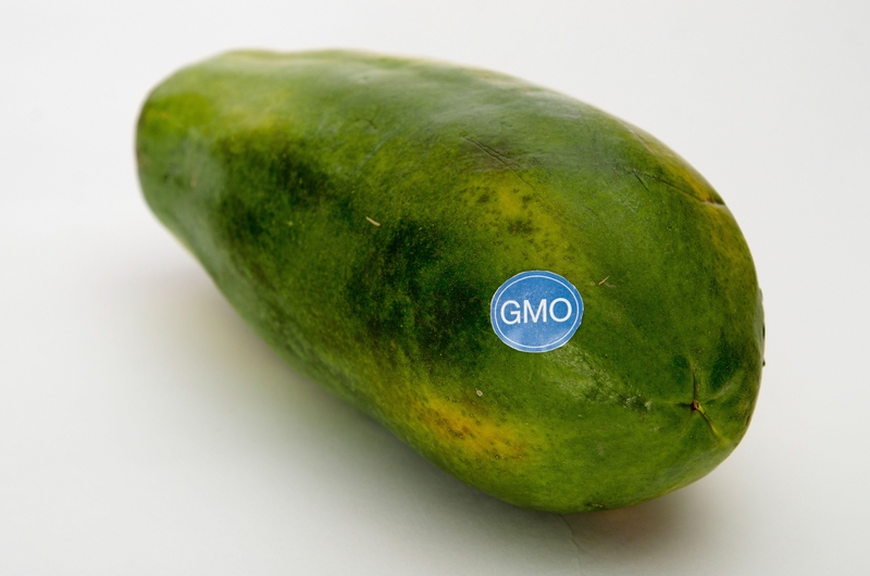 Genetically Modified Papaya | Alamy Stock Photo