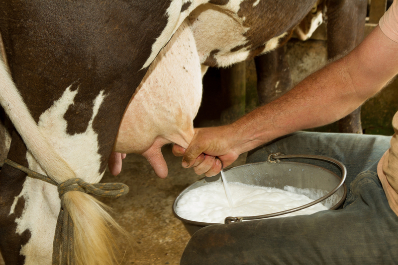 Raw Milk | Shutterstock