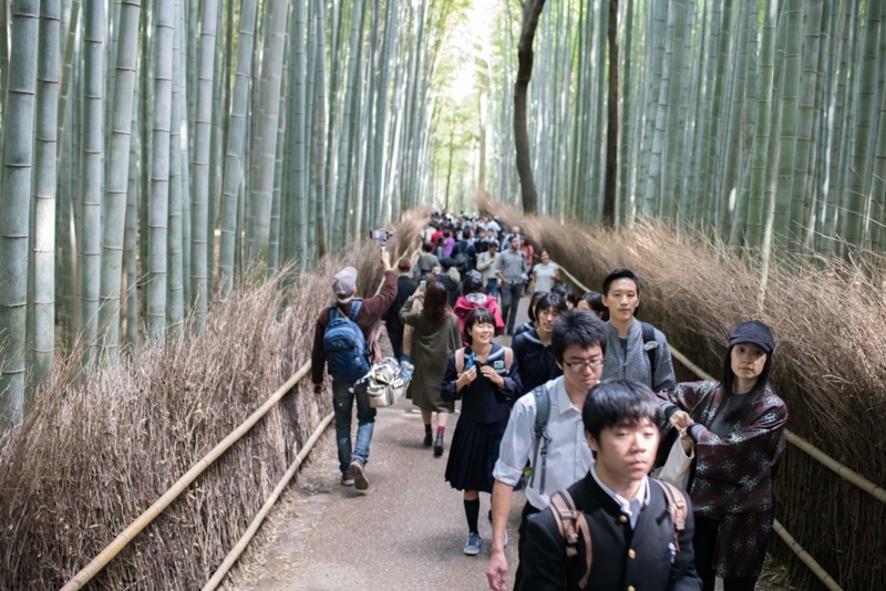 Die Wirklichkeit: Arashiyama-Bambuswald, Kyoto, Japan | Shutterstock