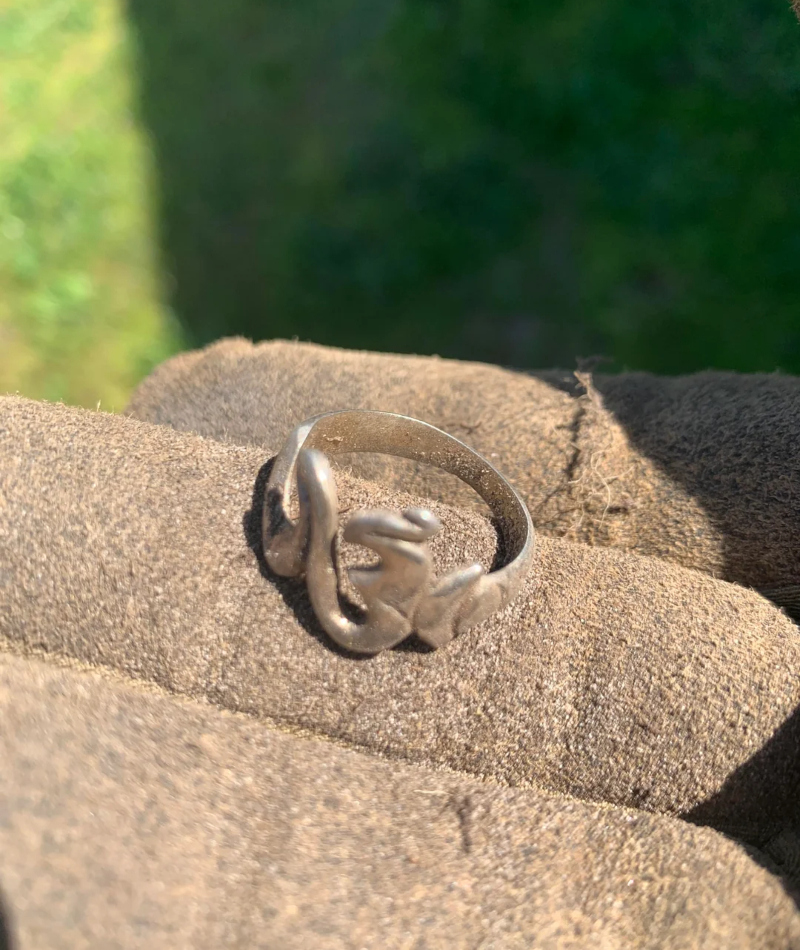 A Very Special Silver Ring | Reddit.com/woodrodius