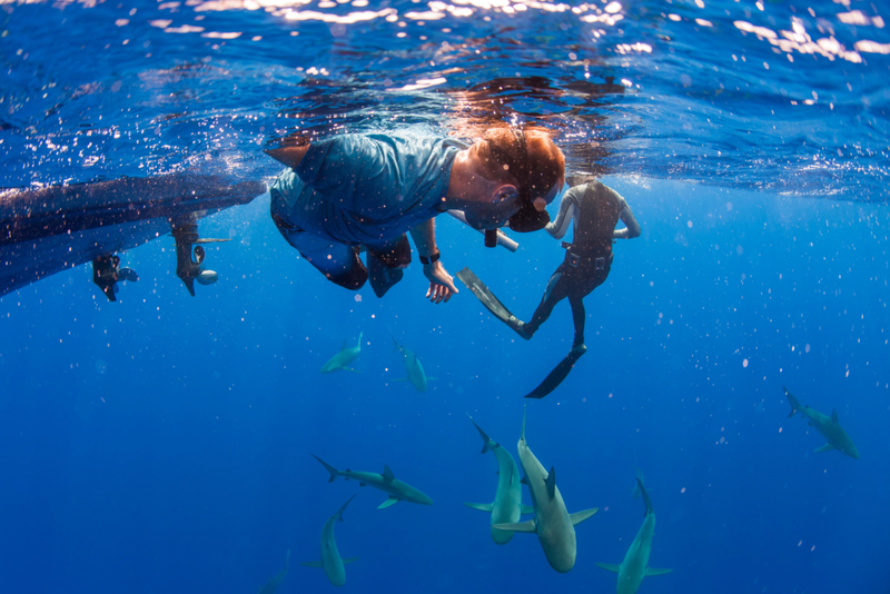 Beware of Jaws | Alamy Stock Photo