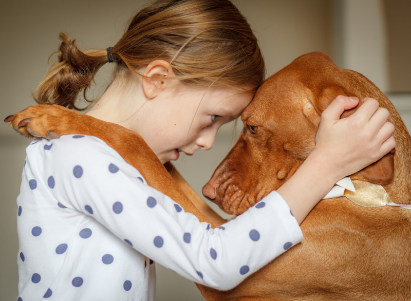 Wenn sich ein Hund besorgt über einen Teil ihres Körpers verhält, dass Sie ihn untersuchen | Getty Images photo by Deborah Pendell