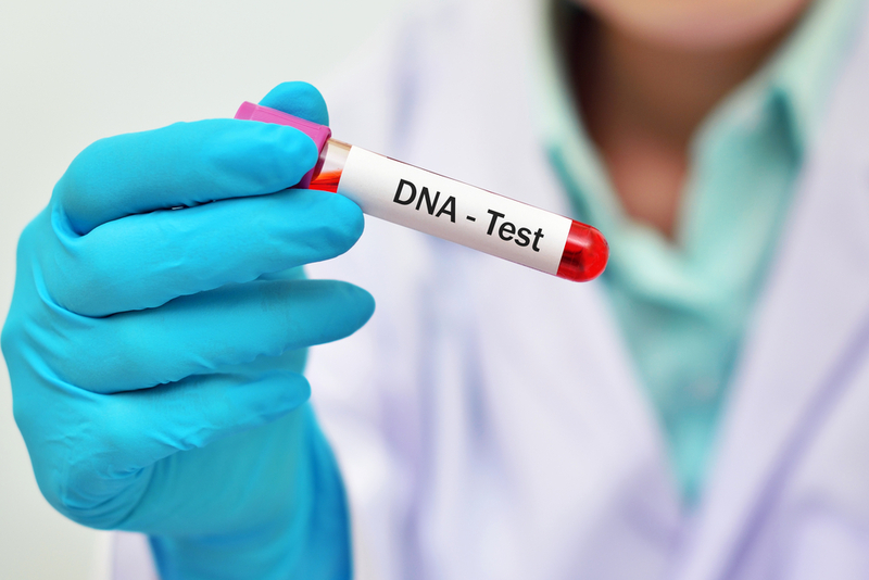 Einen DNA-Test durchführen lassen | Shutterstock