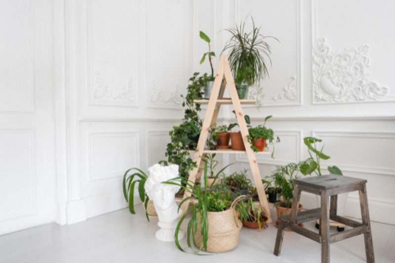 Dieser DIY-Ständer für Pflanzen | Shutterstock