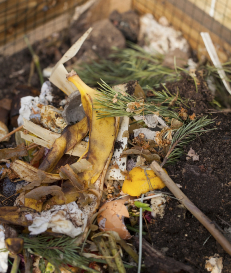 Bananenschalen = Kompost | Shutterstock