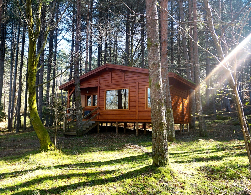 A Familiar Wooden Cabin | David Fonseca/Shutterstock 