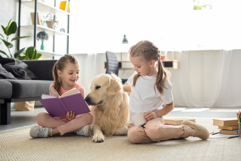 Labradors and Other Patient Breeds Listen to Kids Reading | LightField Studios/Shutterstock