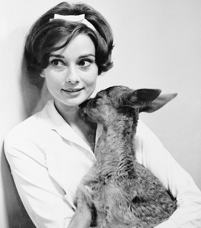 Audrey Hepburn, She’s Just Like Us! | Getty Images Photo by Bettmann